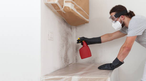 Professional Black Mold Remediation technician working in Bordentown, NJ