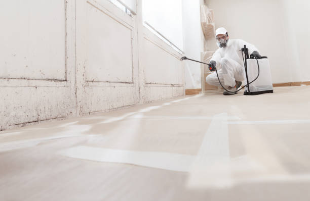 24/7 Emergency Black Mold Remediation experts in Bordentown, NJ