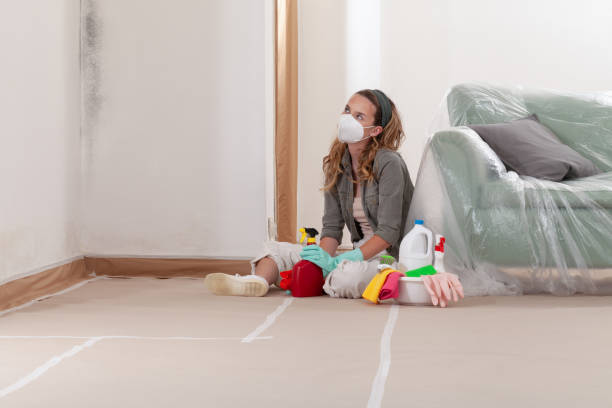 Reliable Black Mold Remediation contractor in Bordentown, NJ by Mold Remediation HQ